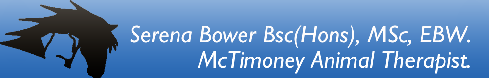 Serena Bower McTimoney Therapist